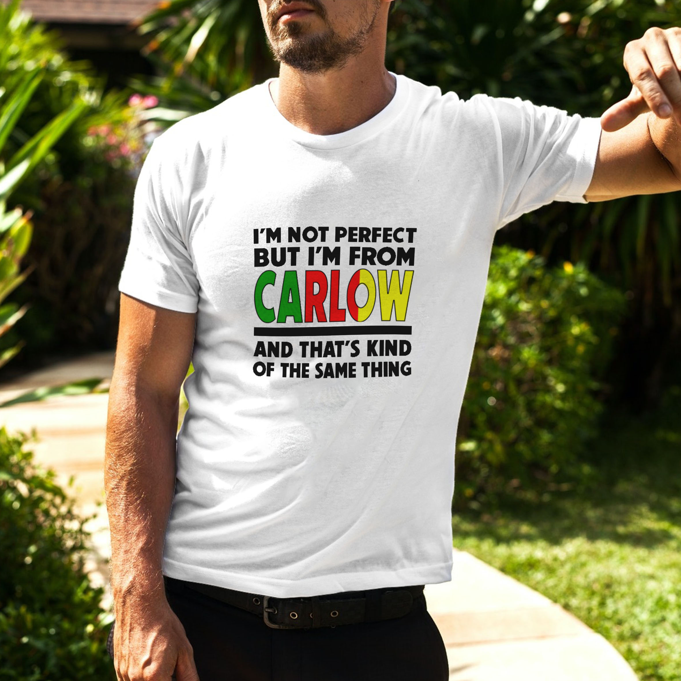 I'm Not Perfect Carlow T-Shirt