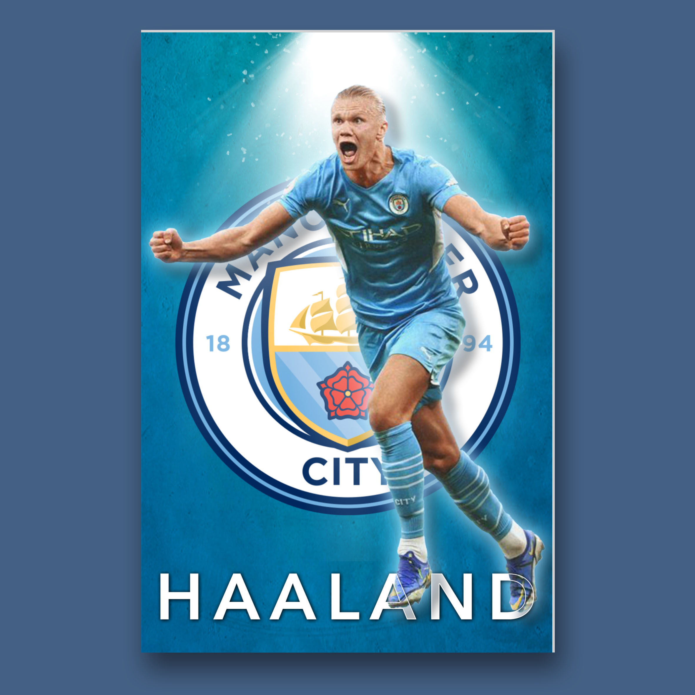 Haaland Wall Decor