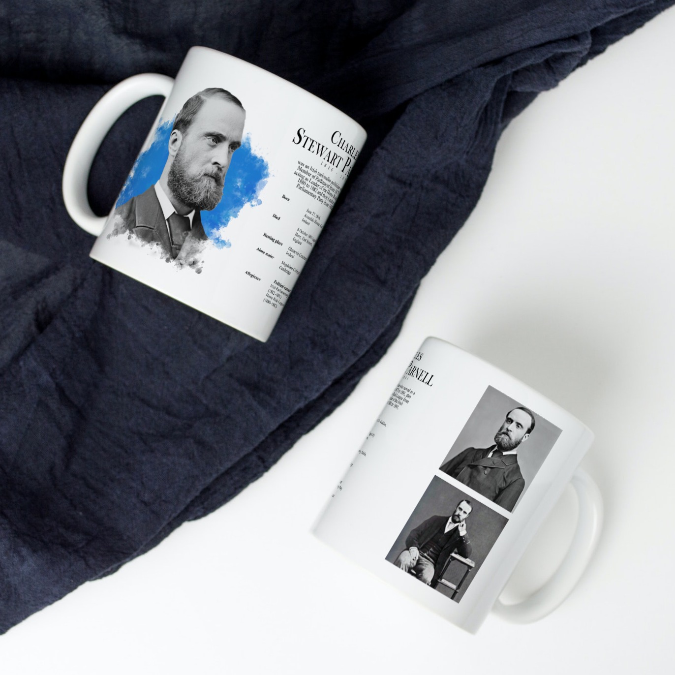 Alternative view of Charles Stewart Parnell Pics Mug