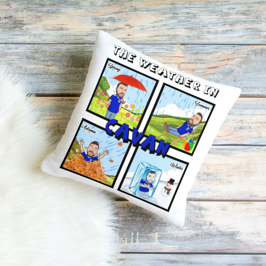 The Weather In Cavan Cushion