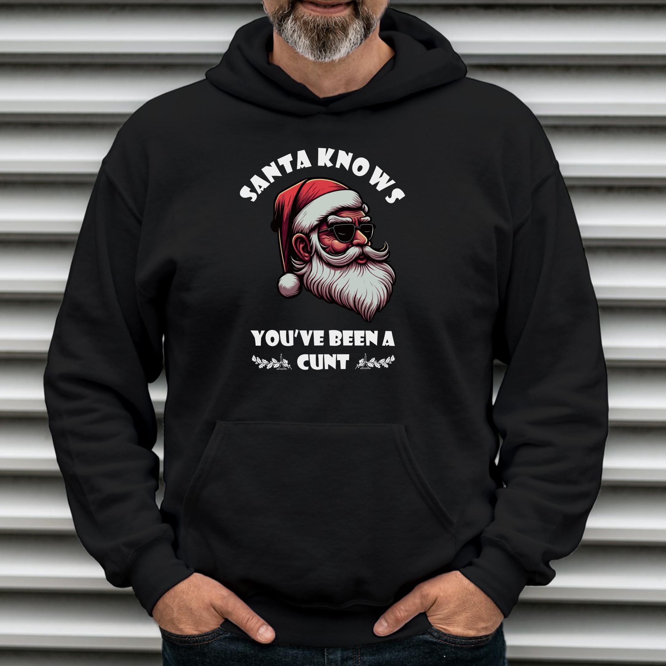 Alternative view of Santa Knows Hoodie